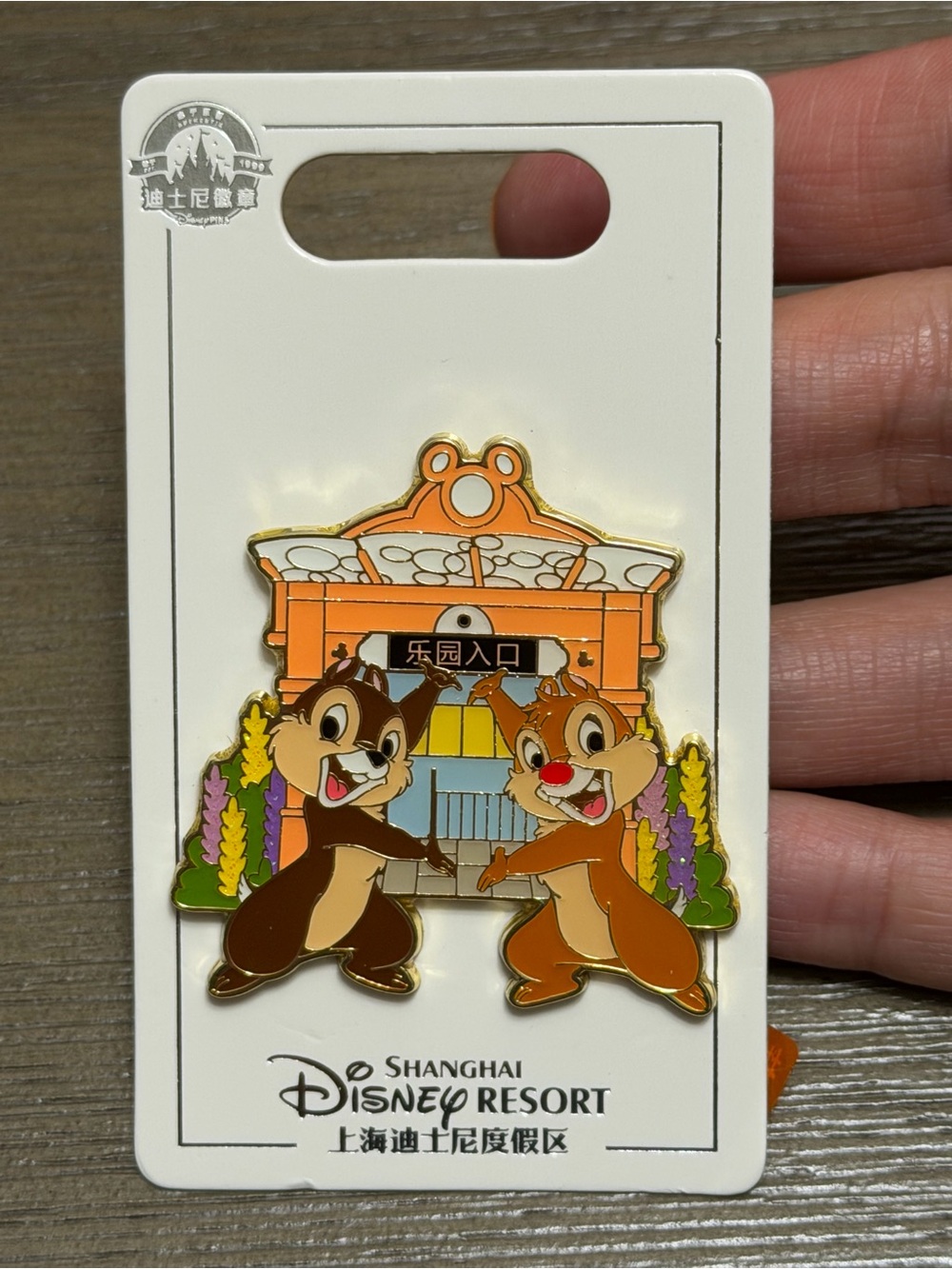 Shanghai Disney Chip and Dale Attraction Series Main Entrance Pin 2025